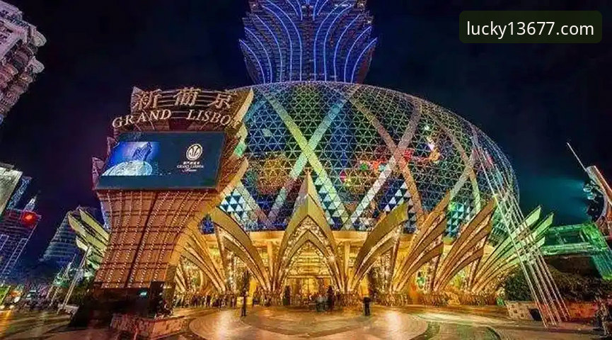 新浦京13677入口功能详解 新浦京娱乐平台功能详解最新动态:老用户带你揭秘新浦京13677入口的实用体验